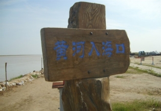 蟹逅黃河口——黃河口濕地紅地毯、蘆葦蕩、泥潭捉蟹贈送大閘蟹一日游