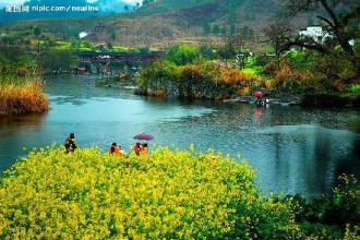 【婺源賞油菜花】【夢(mèng)里黃山】純玩四日-- 不加不購//游山玩水戲花海 [包含婺源景點(diǎn)套票210元，真正的深度游]