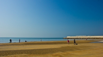 【魯美?原生態(tài)度假】蓬萊、煙臺、威海+原生態(tài)海島3日游